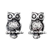Charming Sterling Silver Owl Stud Earrings