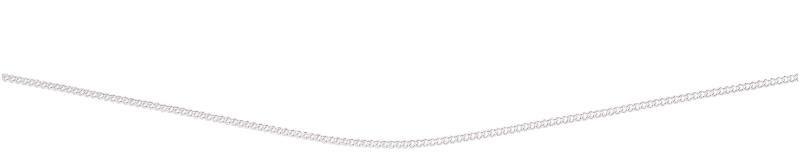 Curb Chain With Extender 41+5Cm