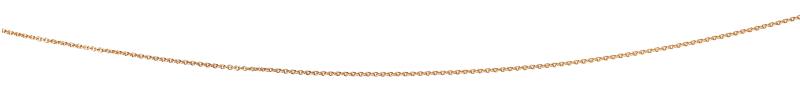 Gold Plated 56+5Cm Curb Chain